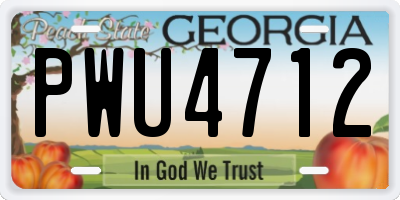 GA license plate PWU4712