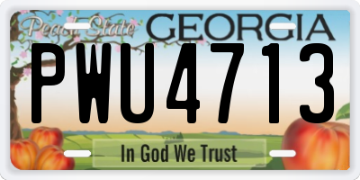 GA license plate PWU4713