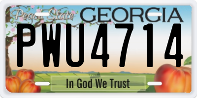 GA license plate PWU4714