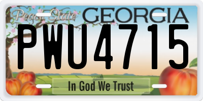 GA license plate PWU4715