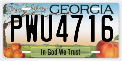 GA license plate PWU4716