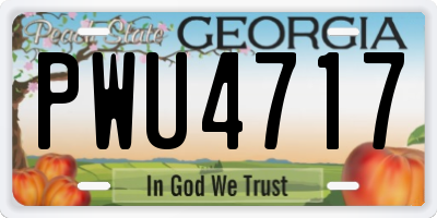 GA license plate PWU4717