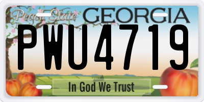 GA license plate PWU4719