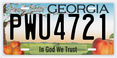 GA license plate PWU4721