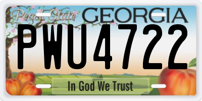 GA license plate PWU4722