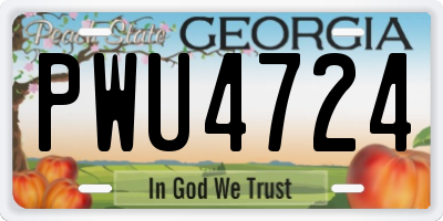 GA license plate PWU4724