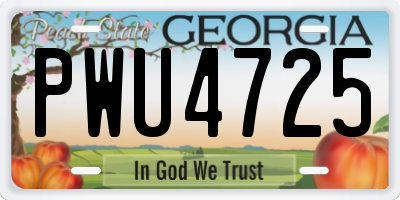 GA license plate PWU4725