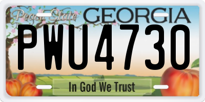 GA license plate PWU4730