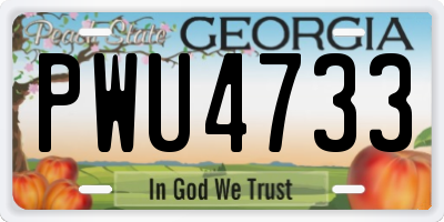GA license plate PWU4733