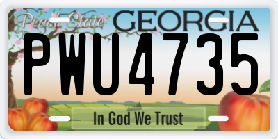 GA license plate PWU4735