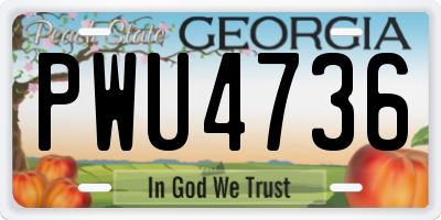 GA license plate PWU4736