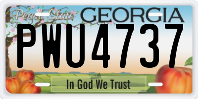 GA license plate PWU4737