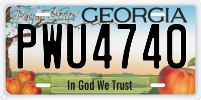 GA license plate PWU4740