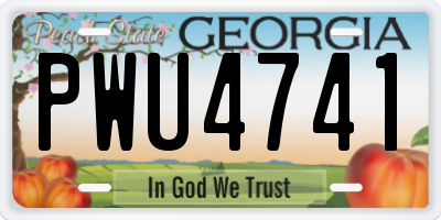 GA license plate PWU4741