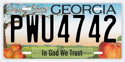 GA license plate PWU4742