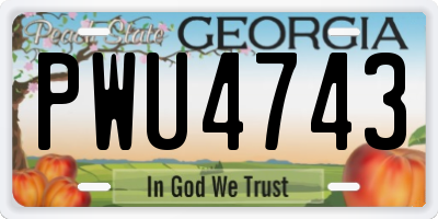 GA license plate PWU4743