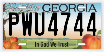 GA license plate PWU4744