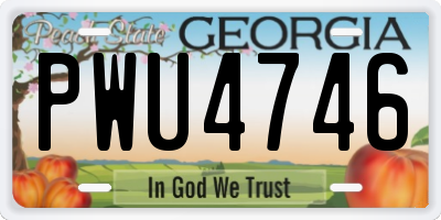 GA license plate PWU4746