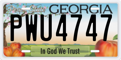 GA license plate PWU4747