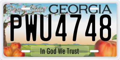 GA license plate PWU4748