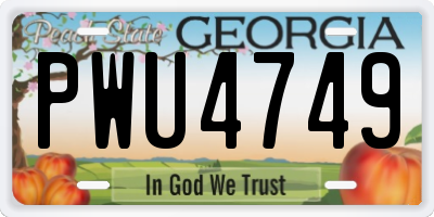 GA license plate PWU4749