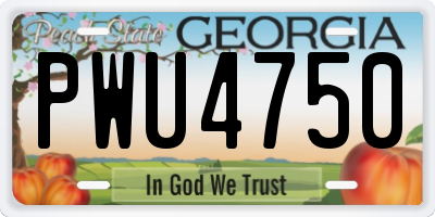 GA license plate PWU4750