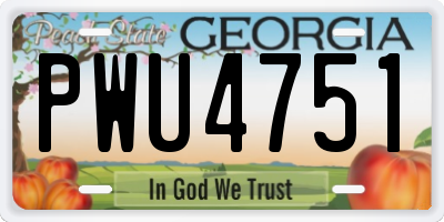 GA license plate PWU4751