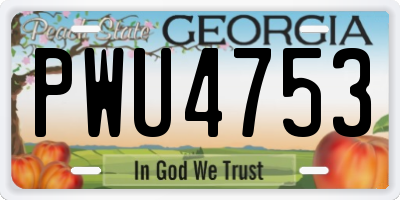 GA license plate PWU4753
