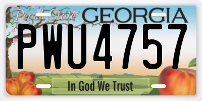 GA license plate PWU4757