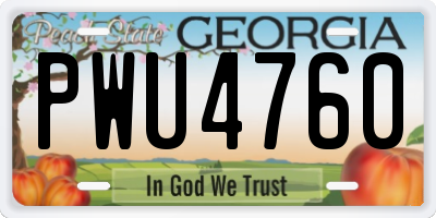 GA license plate PWU4760