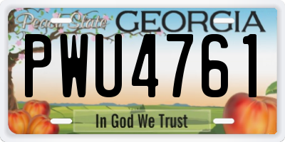 GA license plate PWU4761