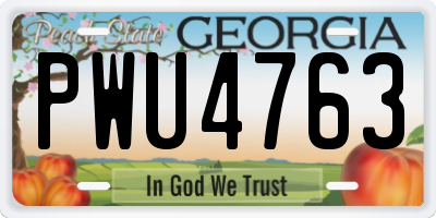 GA license plate PWU4763