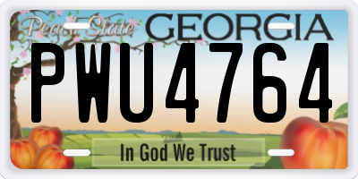 GA license plate PWU4764