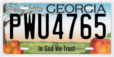 GA license plate PWU4765