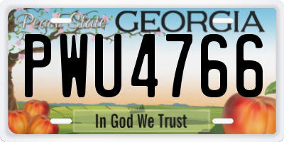 GA license plate PWU4766