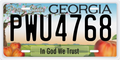 GA license plate PWU4768