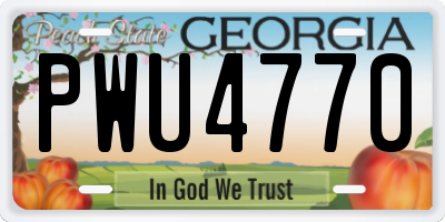 GA license plate PWU4770