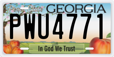 GA license plate PWU4771