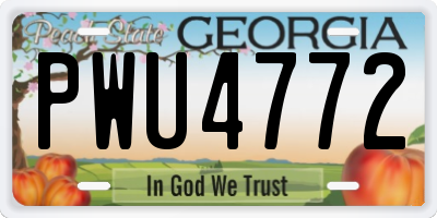 GA license plate PWU4772