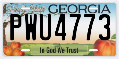 GA license plate PWU4773