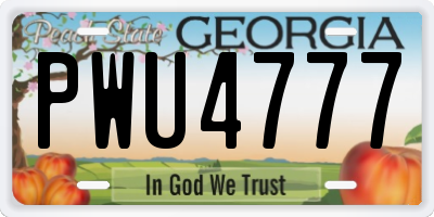 GA license plate PWU4777