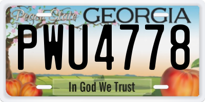GA license plate PWU4778