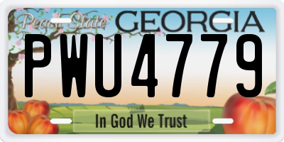 GA license plate PWU4779
