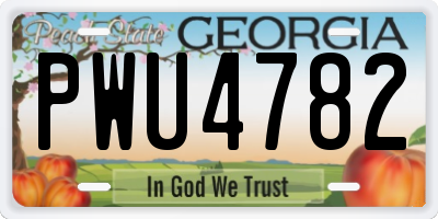 GA license plate PWU4782