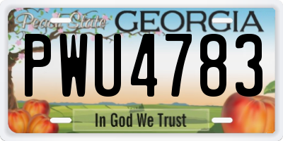 GA license plate PWU4783
