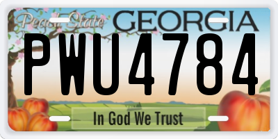 GA license plate PWU4784