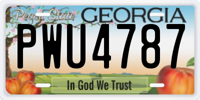 GA license plate PWU4787