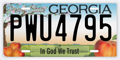 GA license plate PWU4795