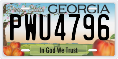 GA license plate PWU4796