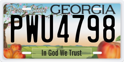 GA license plate PWU4798